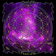 Seeds of life