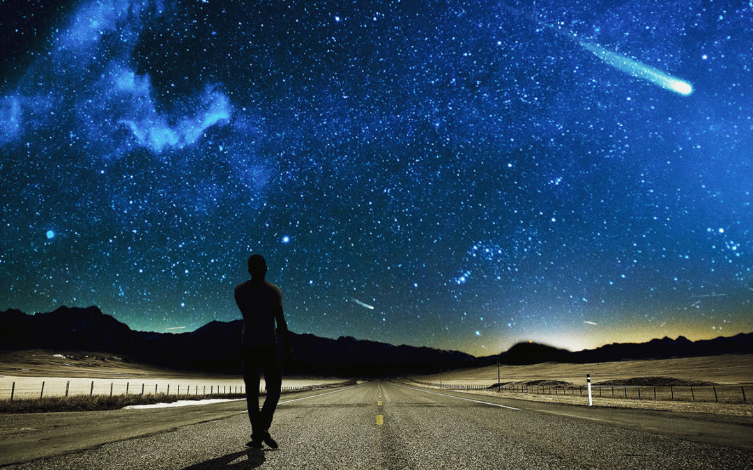 WTF – Where To Forever